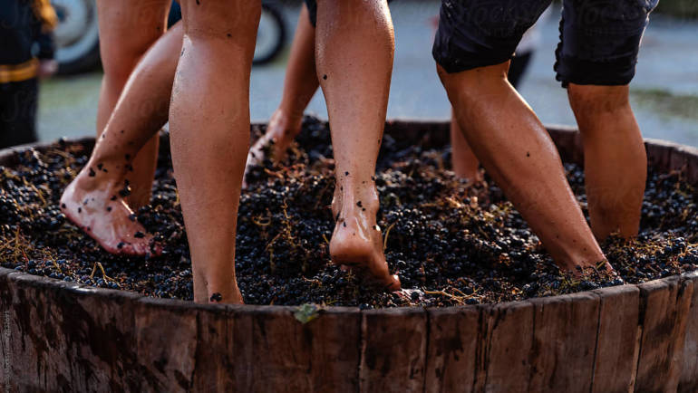 É higiênico? Por que o processo de esmagar uvas com os pés ainda é usado