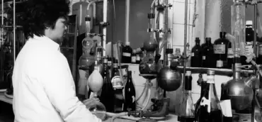 Como Itália superou ‘escândalo do vinho’ adulterado com metanol e revolucionou mercado do país